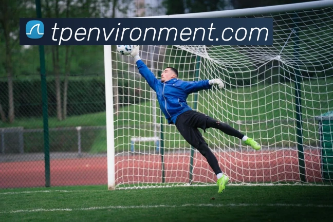 世界杯开户平台平台生态图