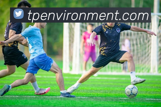 奖项图3